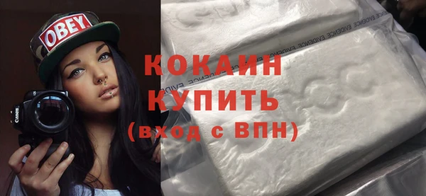 прущие грибы Красноперекопск