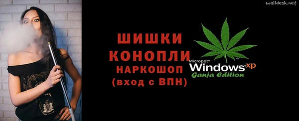 прущие грибы Красноперекопск